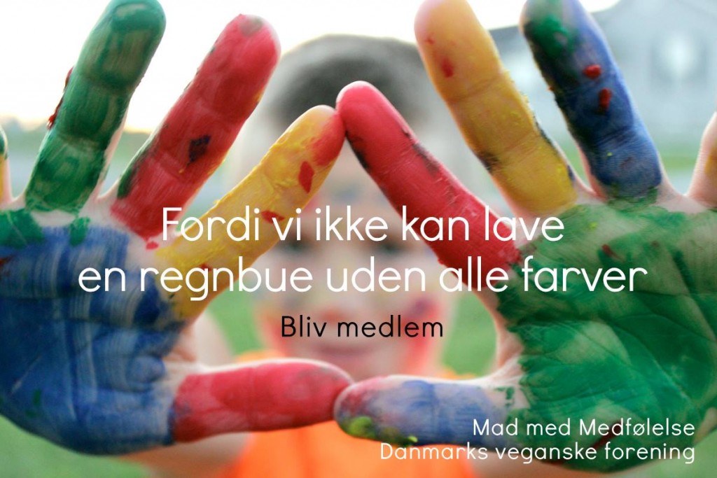 regnbuen
